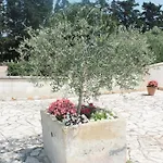 Tenuta Turchi Bed & Breakfast