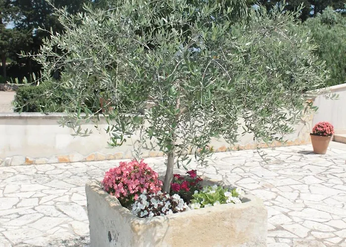 Tenuta Turchi Oda ve Kahvaltı